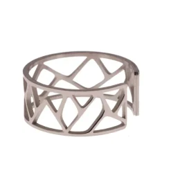 Bague argentee, Irvine