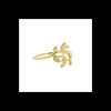 Bague doree, Caher