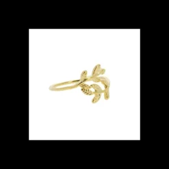 Bague doree, Caher