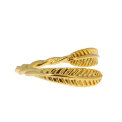 Bague doree, Piuma